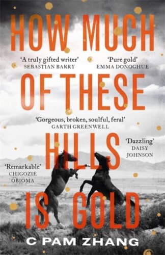 How Much Of These Hills Is Gold-C Pam Zhang