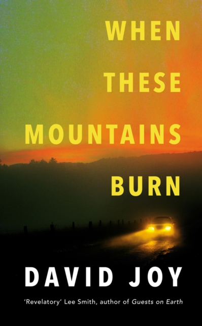 When These Mountains Burn-David Joy